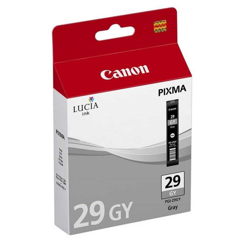 Canon PGI-29GY Cartouche authentique au meilleur prix