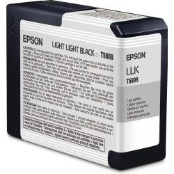 EPSON T5809 Noir clair Cartouche d'encre d'origine
